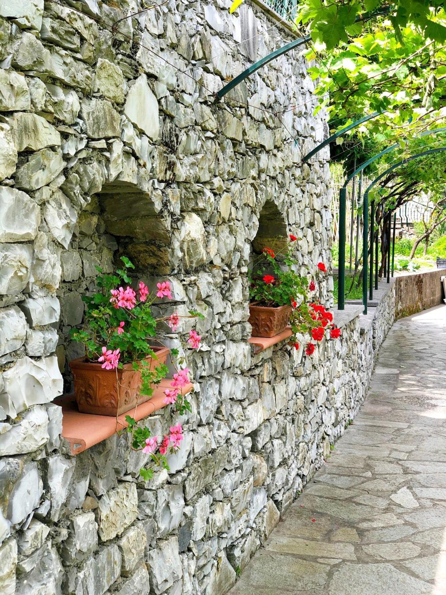 Hotel Villa Edera & La Torretta Moneglia Bagian luar foto